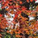 고창읍성한옥마을 이미지