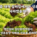 완정농장 네이버블로그
