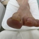 레푸스앤두두뷰티 이미지