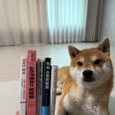 디스클럽 | 청주 로컬에서 만난 브랜드의 밤, 런디스먼스 후기-기획, 브랜딩, 그리고 사람들 사이에서