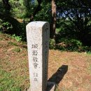 병부농장 네이버블로그