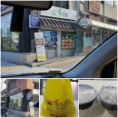 황칠가