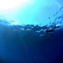 유년시절 이미지