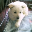 스마일 하우스 이미지