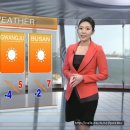 Kelly Park (박상연) 아리랑TV Weather caster 이미지