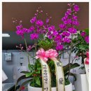 홍주축산 이미지