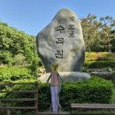 쉬어가는나무 | 서울 근교 힐링 여행 추천! 자연 속에서 쉬어가는 석모도 수목원 방문 후기