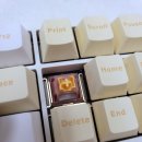 피치PC | 사무실 저소음 키보드 끝판왕! 독거미 F108 PRO 카라멜라떼 축 대신 오테뮤 피치 추천