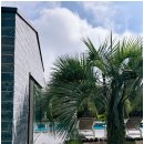 두모산책 이미지