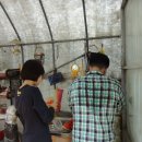 (주)호성 이미지