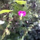 청통초등학교 이미지