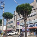 가로수길 이미지