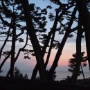 일직점곡로(일직면) 이미지