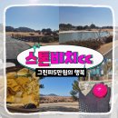 태안시니어클럽 | 설 연휴의 선물! 봄날 같았던 스톤비치CC 겨울 라운딩 후기 (그린피 5만원의 행복 ⛳)