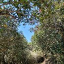 광양 옥룡사지 이미지