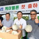 예산중앙농업협동조합 이미지