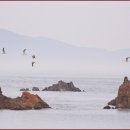 농어바위 이미지