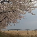 제일투어 - 연제구 중앙대로 1130 | 제일투어