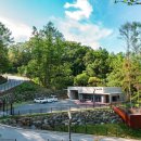 강아지테마파크 이미지