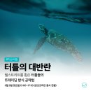터틀라이프