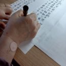 약손의료기 | 강추)사임당 동전(자석) 패치 파스, 근육통 완화!