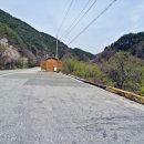 분설담화장실 이미지