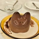 퍼피빈 스튜디오 이미지