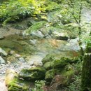 포천 자연과사람들 애견동반펜션 이미지