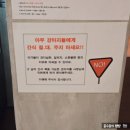 행복하개키울고양 | 서울 애견 카페 호텔 미용 유치원 행복하개키울고양, 성북 보문역 반려견 동반 카페 추천