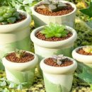 지양농장 이미지