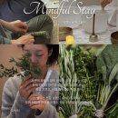 마인드풀 웰니스(Mindful Wellness)