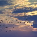 자전거생각 이미지