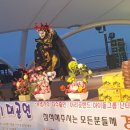 금갈매기