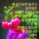 수다방 Daum카페
