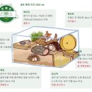 미니펫 이미지