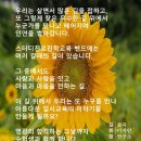 내신 4등급, 5등급, 6등급 중위권 수험생들의 수시지원전략 이미지