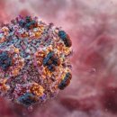 CREATION IS FUN sciencenews