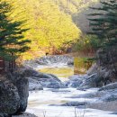 왕돌초게장 이미지