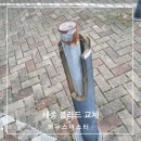 세종 볼라드 교체 시공 후기