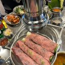 탄천갈매기