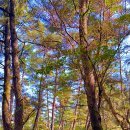 경주중학교 이미지