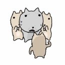 토토상사 | 육뇽