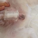 필동물종합병원 이미지