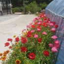 마이산힐링펜션 이미지