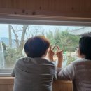 살구나무펜션민박 이미지