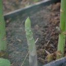 마치농장 이미지