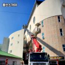 스카이디테일