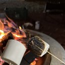 일월여정 이미지