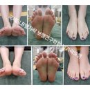 제일보조기 이미지