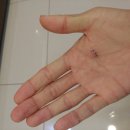 제니스 GYM 이미지